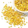 Opaque & Transparent Inside Colours Glass Seed Beads SEED-YW0002-17D-1