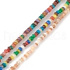 Natural Freshwater Shell Beads Strands SHEL-M018-07-1