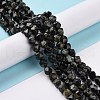Natural Kambaba Jasper Beads Strands G-G990-B01-2