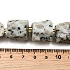 Raw Rough Natural Seaame Jasper Beads Strands G-Z087-B03-5