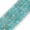 Natural Amazonite Beads Strands G-C009-A01-1