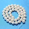 Round Shell Pearl Bead Strands X-BSHE-L011-8mm-A013A-3