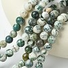 Natural Tree Agate Round Gemstone Beads Strands G-R255-10mm-2