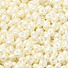 Baking Paint Luster Glass Seed Beads X-SEED-B001-04A-11-3
