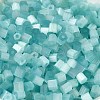 Glass Seed Beads X1-SEED-H002-D-A812-3