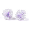 Resin Beads RESI-T059-01A-3