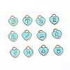 Zinc Alloy Enamel Charms ENAM-TAC0013-19C-1
