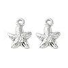 Non-Tarnish 304 Stainless Steel Charms STAS-L269-063P-2