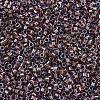 MIYUKI Delica Beads SEED-X0054-DB1706-3