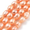 Natural Cultured Freshwater Pearl Beads Strands PEAR-P062-29B-2