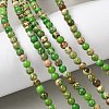 Dyed Natural Regalite/Imperial Jasper/Sea Sediment Jasper Beads Strands G-B124-C05-08-5