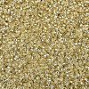 MIYUKI Delica Beads SEED-X0054-DB1212-2