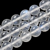 Natural Rainbow Moonstone Round Bead Strands G-M263-D-02A-2