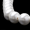 Shell Pearl Beads Strands X-BSHE-S301-10mm-04-3