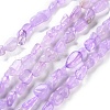 Natural Amethyst(Dyed & Heated) Beads Strands G-P497-01C-44-1