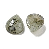 Natural Labradorite Cabochons G-Q173-02C-07-2