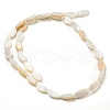 Natural Freshwater Shell Beads Strands BSHE-Z005-05-2