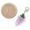Grape Glass Pendant Decoration HJEW-JM02594-3