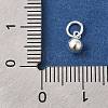 Rhodium Plated 925 Sterling Silver Round Charms STER-G043-08A-S-3