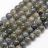 Natural Labradorite Beads Strands G-P322-31-8mm-1