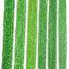 Electroplate Glass Beads Strands EGLA-A044-T1mm-A11-2