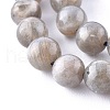 Natural Labradorite Beads Strands G-G212-8mm-23-6