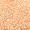 Ceylon Glass Seed Beads SEED-K009-02B-34-3