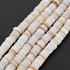 Natural Freshwater Shell Beads Strands SHEL-T018-31-2