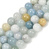 Natural Aquamarine Beads Strands G-S333-10mm-003-2