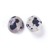 Natural Dalmatian Jasper Cabochons G-L511-B-02-2