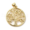 Brass Micro Pave Cubic Zirconia Pendants KK-Z042-25G-04-1