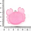 Transparent Resin Pendants FIND-I044-09-3