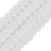 Transparent Glass Beads Strands EGLA-A034-T8mm-MD19-1