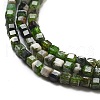 Natural Diopside Beads Strands G-G161-C23-01-4