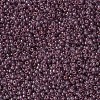 MIYUKI Round Rocailles Beads X-SEED-G007-RR2448-3