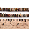 Natural Polychrome Jasper/Picasso Stone/Picasso Jasper Beads Strands G-T140-70B-5
