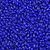 Baking Paint Glass Seed Beads SEED-T006-03-01-2