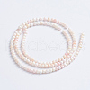 Natural Pink Shell Beads Strands SSHEL-L016-18B-3