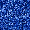 Baking Paint Glass Seed Beads SEED-P006-03A-25-3