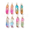 2Pcs 2 Style Two Tone Glass Double Terminated Point Beads Pendants Set PALLOY-JF02538-1