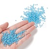 13G 8/0 Glass Seed Beads SEED-XCP0001-05-4