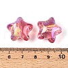 Transparent Resin Beads RESI-N043-03C-3