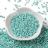 Baking Paint Glass Seed Beads SEED-S042-15A-09-2