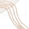 Natural Cultured Freshwater Pearl Beads Strands PEAR-C003-02A-1