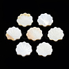 Natural Freshwater Shell Beads X-SHEL-T007-02-3
