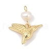 Natural Cultured Freshwater Pearl & Brass Pendants KK-U062-03G-1