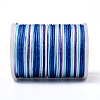 Segment Dyed Polyester Thread NWIR-I013-B-01-3