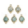 Natural Mixed Gemstone Faceted Connector Charms G-L514-048P-2