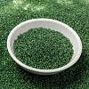 MIYUKI Round Rocailles Beads X-SEED-G009-RR0375-3