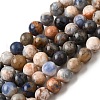 Natural Sodalite Beads Strands G-F591-13B-2